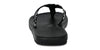 DOUBLE 6 - BLACK PALM <br> $35